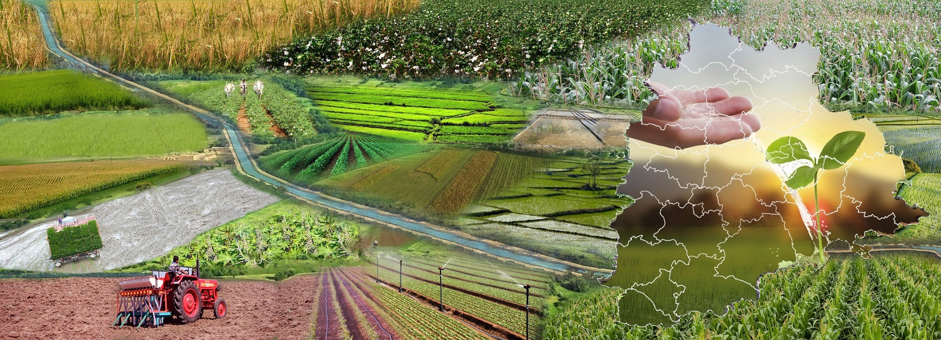 global-journal-of-agricultural-economics-extension-and-rural-development-banner.jpg