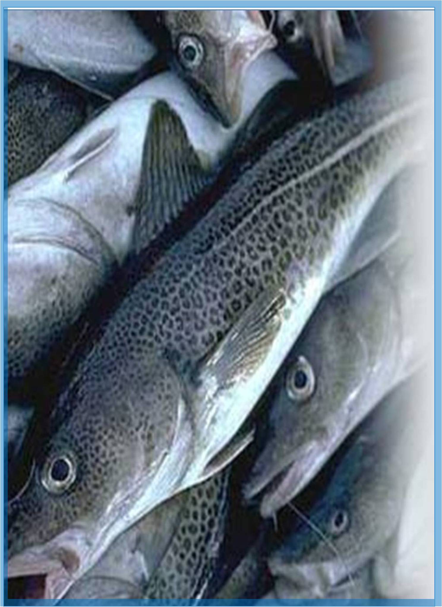 global-journal-of-fisheries-and-aquaculture-banner.jpg