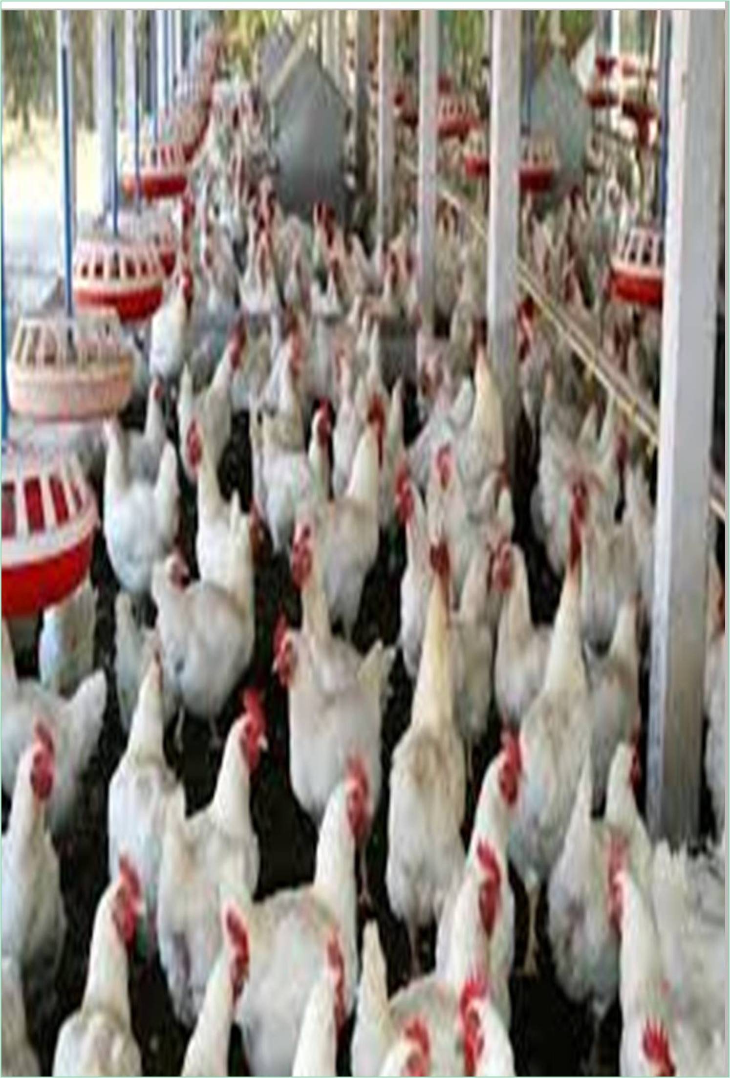 global-journal-of-poultry-farming-and-vaccination-banner.jpg