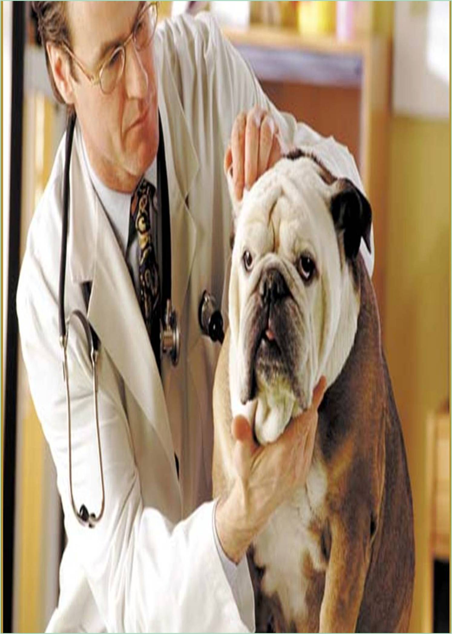 global-journal-of-veterinary-medicine-and-research-banner.jpg