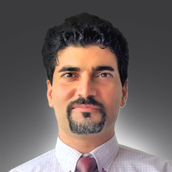 Dr. Vahid Biglari