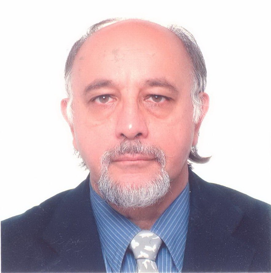 Seyed Mohammad Seyedhosseini