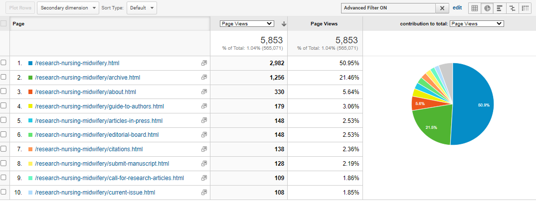 Visitor Analysis Report