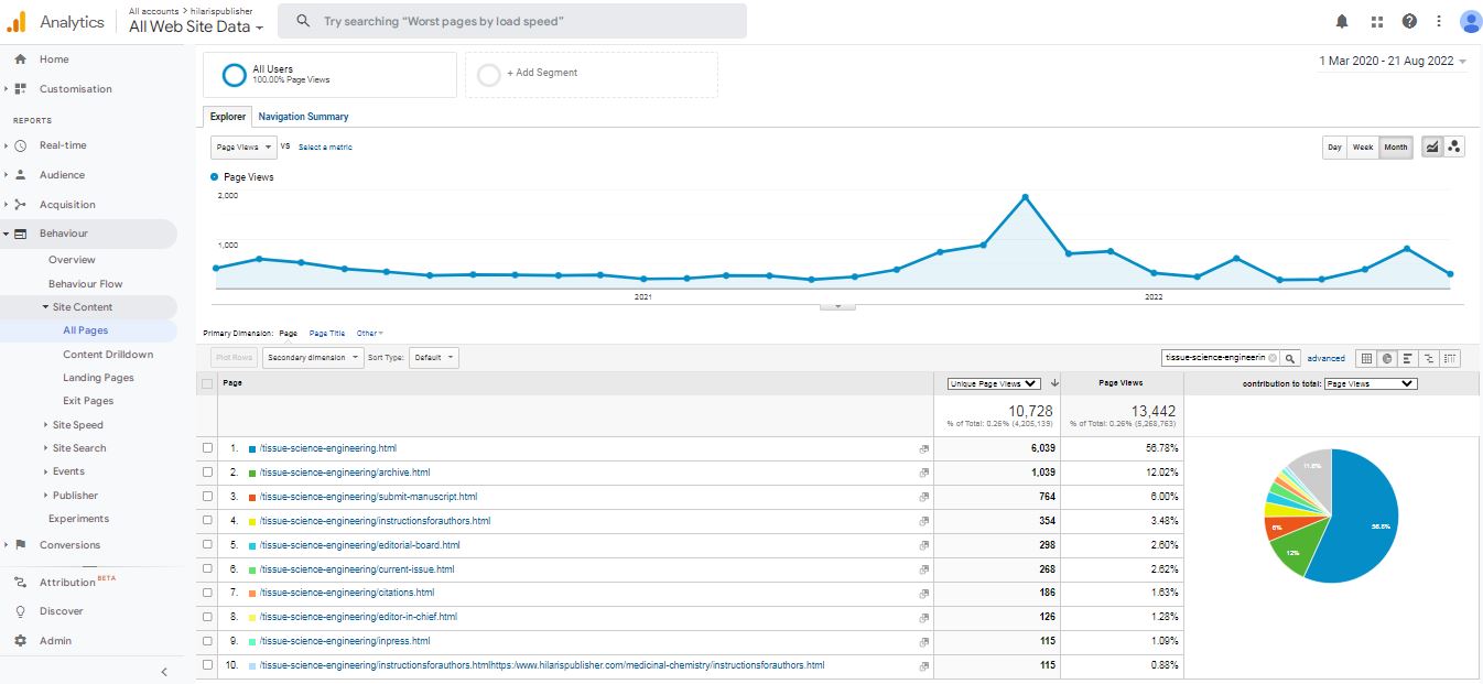 Visitor Analysis Report