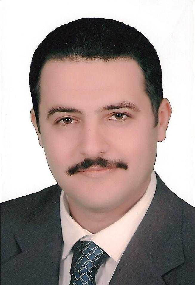 Wael I. A. Aly