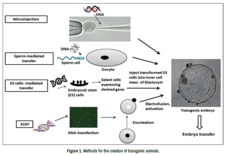 Potential Applications of Genetic Engineered (Transgenic) Animals in  Medical Biotechnology for Human Healthcare