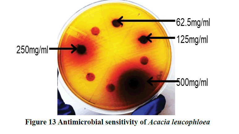 medical-research-health-Antimicrobial-sensitivity-