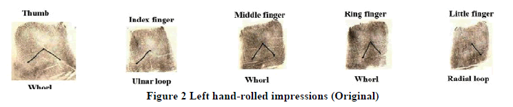 medical-research-health-rolled-impressions