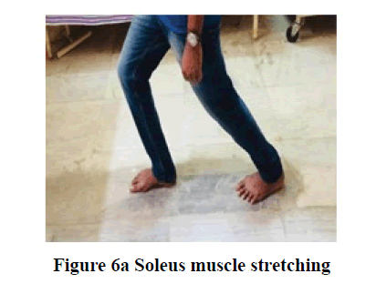 medical-research-health-soleus-muscle