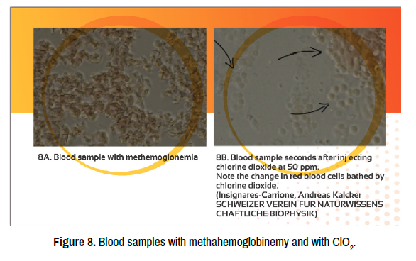 molecular-genetic-medicine-blood-samples