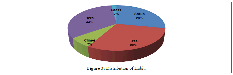 plant-science-flower-distribution-habit
