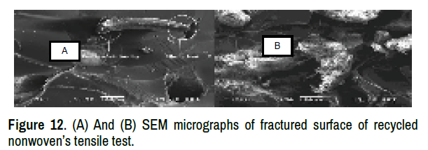 textile-science-engineering-micrographs