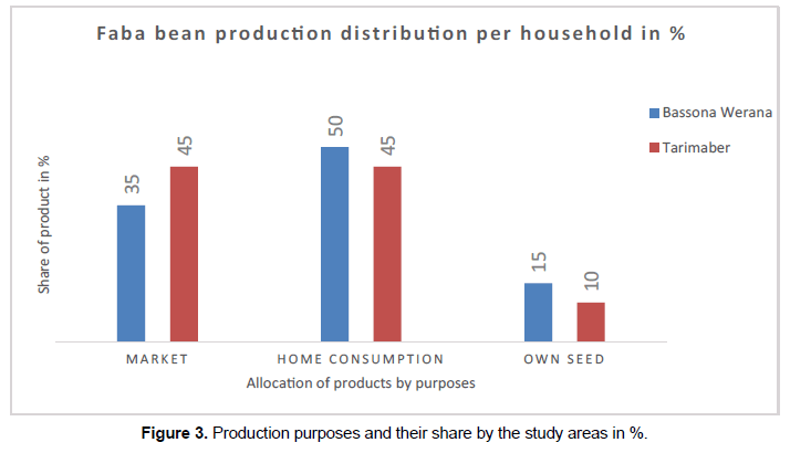 International-Business-Production