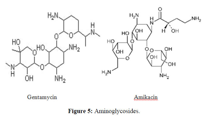derpharmachemica-Aminoglycosides