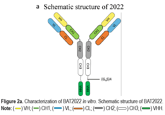 virology-schematic