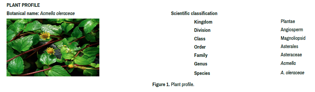 pharmacognosy-natural-products-plant-profile