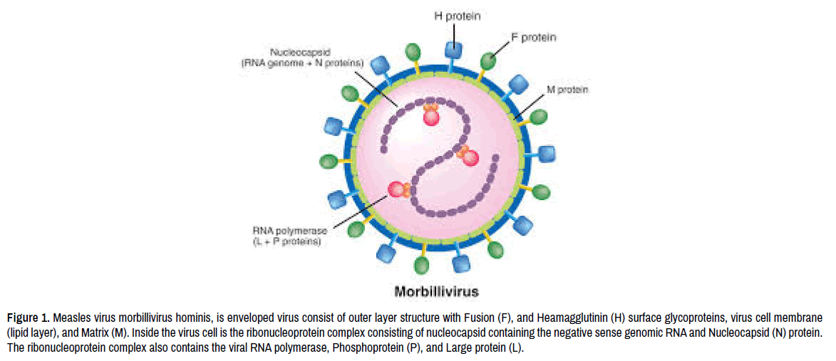 virology-current-research-outer-layer-structure virology-current-research-outer-layer-structure