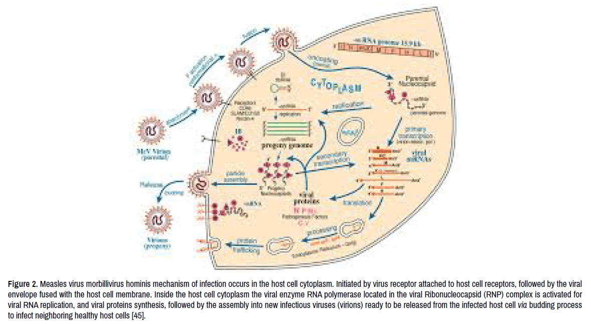 virology-current-research-outer-layer-structure virology-current-research-outer-layer-structure