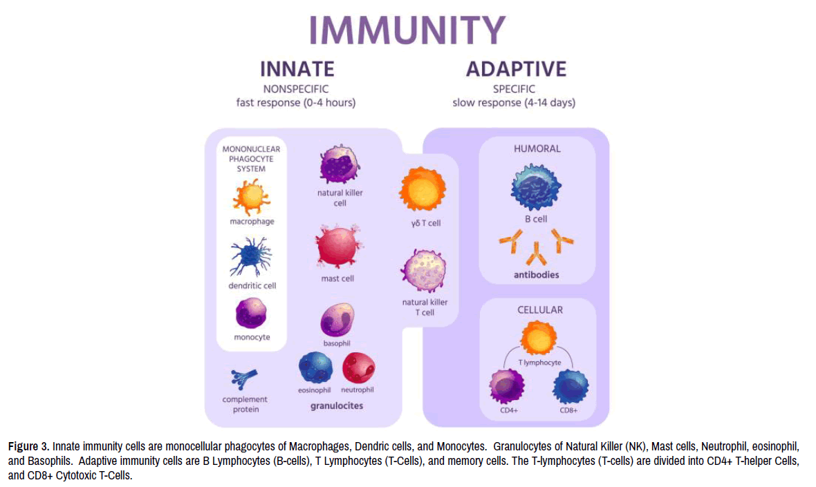 virology-current-research-outer-layer-structure virology-current-research-outer-layer-structure