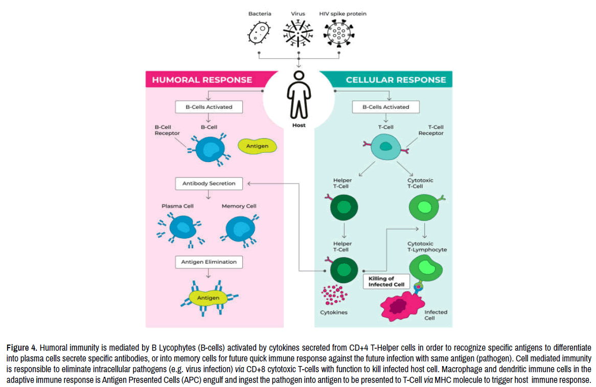 virology-current-research-outer-layer-structure virology-current-research-outer-layer-structure