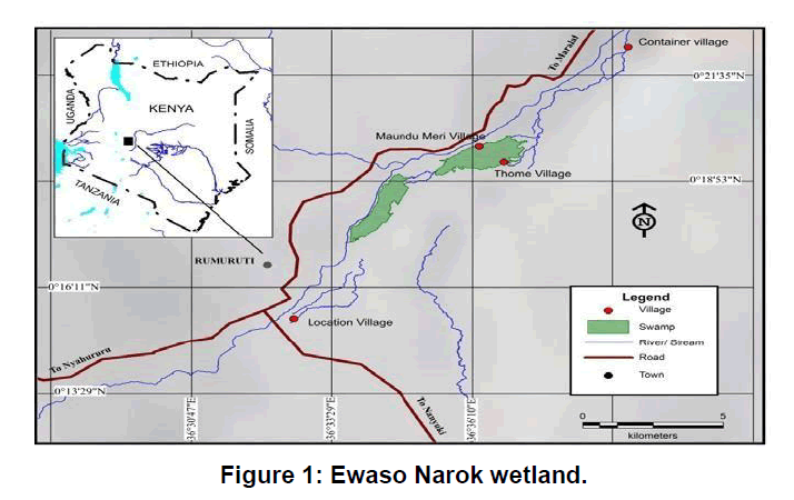plant-science-narok-wetland