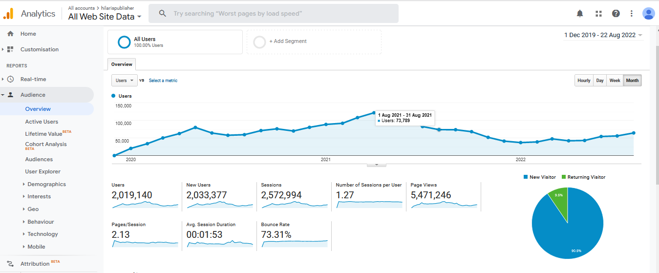 Visitor Analysis Report